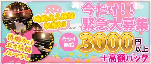 Crystal(クリスタル)【公式求人情報】(片町ラウンジ)の求人・体験入店情報