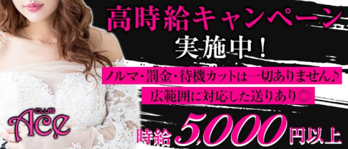 ACE(エース)【公式求人情報】(藤沢キャバクラ)の求人・バイト・体験入店情報