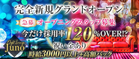 Night Lounge Juno (ジュノ)【公式求人・体入情報】(殿町ラウンジ)の求人・体験入店情報
