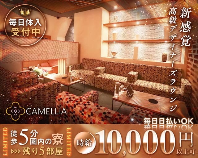 CAMELLIA（カメリア）のラウンジ体入