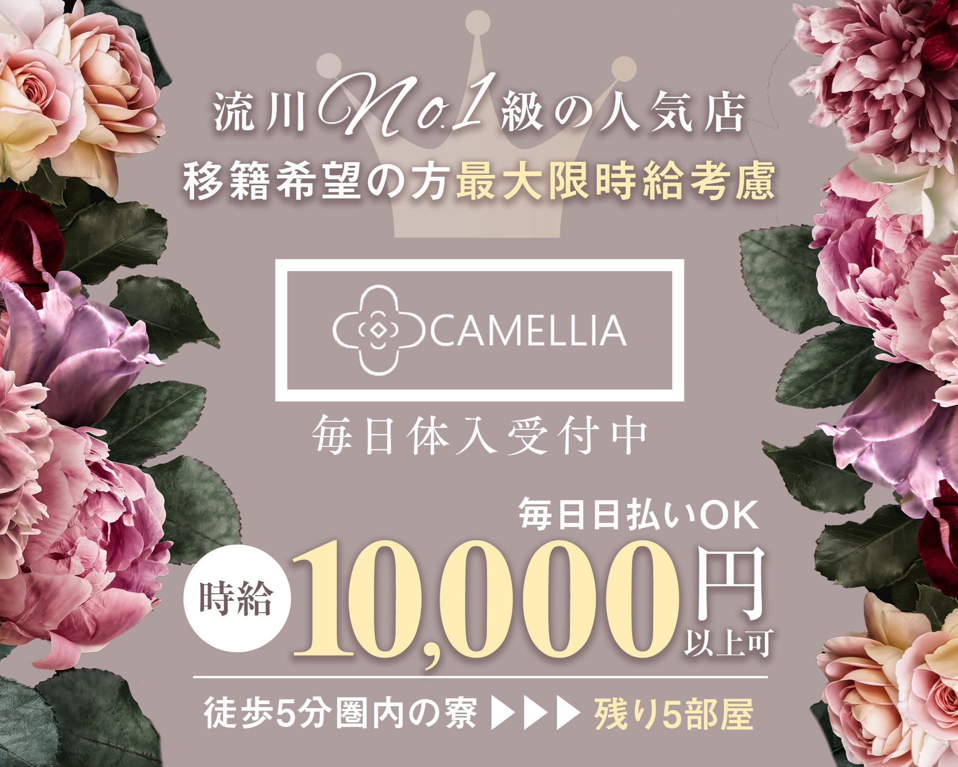 CAMELLIA（カメリア） 流川キャバクラ TOP画像