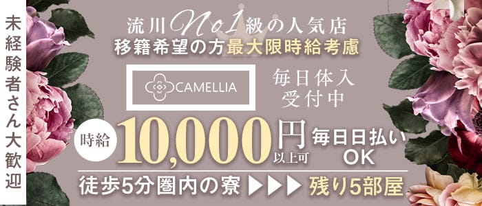CAMELLIA（カメリア）(流川キャバクラ)の求人・体験入店情報