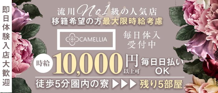 CAMELLIA（カメリア） 流川キャバクラ 即日体入募集バナー