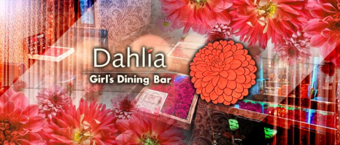 Girl's Dining Bar Dahlia(ダリア)【公式求人情報】(二日市ガールズバー)の求人・体験入店情報