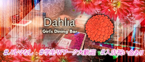 Girl's Dining Bar Dahlia(ダリア)【公式求人情報】(二日市ガールズバー)の求人・体験入店情報
