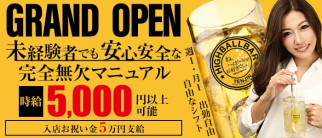 TENJIN HIGHBALL BAR(天神ハイボールバー)【公式求人・体入情報】(天神ガールズバー)の求人・体験入店情報