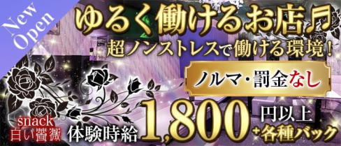 スナック&ラウンジ 白い薔薇(シロイバラ)【公式求人・体入情報】(殿町スナック)の求人・体験入店情報