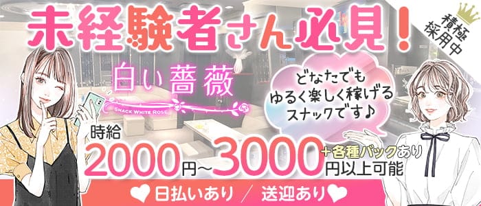 白い薔薇のスナック体入