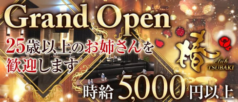 club 椿(クラブ ツバキ)【公式求人情報】(上野クラブ)の求人・体験入店情報