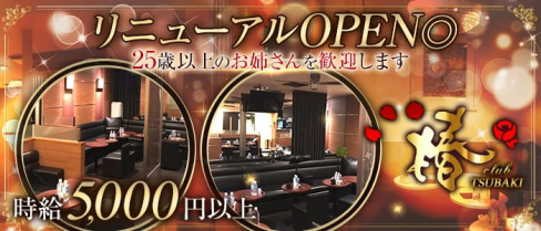 club 椿(クラブ ツバキ)【公式求人情報】(上野クラブ)の求人・バイト・体験入店情報