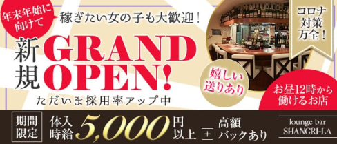 シャングリラ【公式求人・体入情報】(荻窪ガールズバー)の求人・体験入店情報