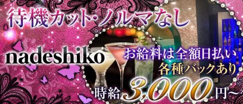 nadeshiko (ナデシコ)【公式求人情報】(心斎橋ラウンジ)の求人・体験入店情報