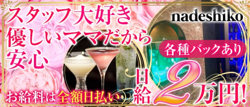 nadeshiko (ナデシコ)【公式求人情報】(心斎橋ラウンジ)の求人・体験入店情報
