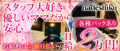nadeshiko (ナデシコ)【公式求人情報】(心斎橋ラウンジ)の求人・体験入店情報