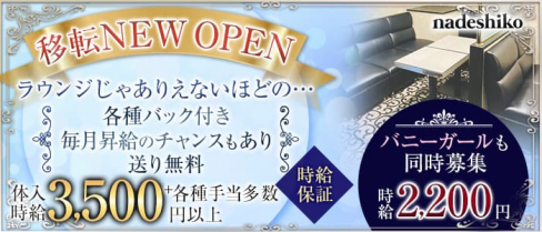 nadeshiko (ナデシコ)【公式求人・体入情報】(心斎橋ラウンジ)の求人・体験入店情報