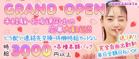 Girl's Bar JUNKASISTA(ジャンカジスタ)【公式求人・体入情報】(新橋ガールズバー)の求人・体験入店情報