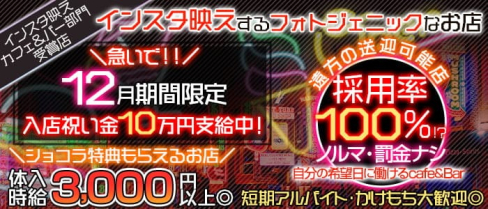 【京王線桜上水駅】カフェ&バー ハニーラビット【公式求人・体入情報】(歌舞伎町ガールズバー)の求人・体験入店情報