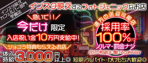 【京王線桜上水駅】カフェ&バー ハニーラビット【公式求人・体入情報】(歌舞伎町ガールズバー)の求人・体験入店情報