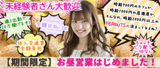 BAR PEANUTS(ピーナッツ)【公式求人情報】