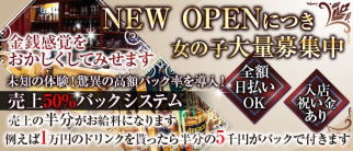 【天満】ATHENA(アテナ)【公式求人・体入情報】(梅田ガールズバー)の求人・体験入店情報