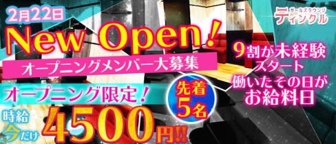 ガールズラウンジティンクル【公式求人情報】(錦糸町ガールズラウンジ)の求人・体験入店情報