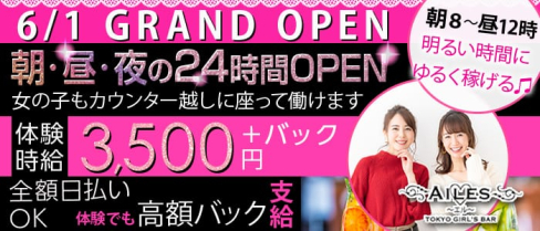 【24時間営業】Girls Bar AILES(ガールズバー エル)【公式求人情報】(錦糸町ガールズバー)の求人・体験入店情報