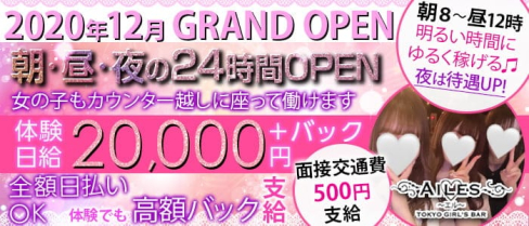 【24時間営業】Girls Bar AILES(ガールズバー エル)【公式求人・体入情報】(錦糸町ガールズバー)の求人・体験入店情報