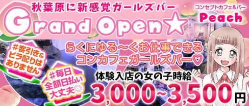 コンセプトカフェ&バー Peach(ピーチ)【公式求人・体入情報】(秋葉原ガールズバー)の求人・体験入店情報