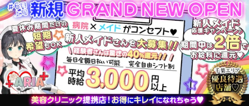 コンセプトCafe&Bar ARIA(アリア)【公式求人・体入情報】(千葉ガールズバー)の求人・体験入店情報