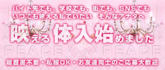 PEACE (ピース)【公式求人・体入情報】(桜木町ガールズバー)の求人・体験入店情報