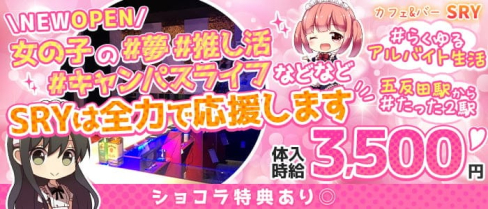 【戸越銀座】カジュアルダーツBar SRY(スライ)【公式求人・体入情報】(五反田ガールズバー)の求人・体験入店情報