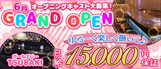 ガールズバー TSUBAKI(ガールズバー ツバキ)【公式求人・体入情報】(上野ガールズバー)の求人・体験入店情報