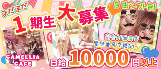 CAMELLIA CAFE(カメリアカフェ)【公式求人・体入情報】(流川ガールズバー)の求人・体験入店情報
