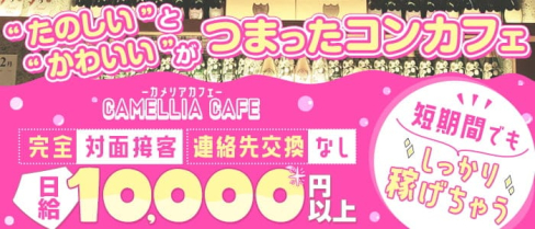 【コンカフェ】CAMELLIA CAFE(カメリアカフェ)【公式求人・体入情報】(流川ガールズバー)の求人・体験入店情報