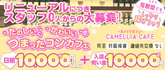 【コンカフェ】CAMELLIA CAFE(カメリアカフェ)【公式求人・体入情報】(流川ガールズバー)の求人・体験入店情報