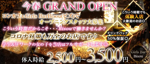 Girls Bar Bisou(ビズ)【公式求人情報】(神田ガールズバー)の求人・体験入店情報
