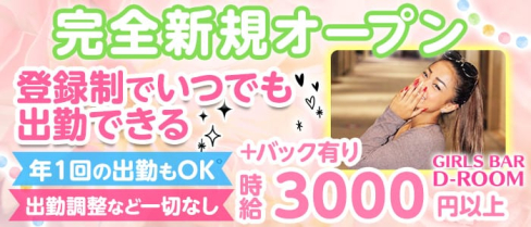 GIRLS BAR D-ROOM ディールーム【公式求人情報】(上野ガールズバー)の求人・体験入店情報