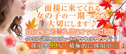 ハイボールバー PEEK A BOO(ピーカブ―)【公式求人情報】(藤沢ガールズバー)の求人・体験入店情報