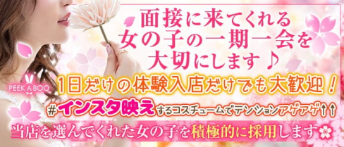 ハイボールバー PEEK A BOO(ピーカブ―)【公式求人・体入情報】(藤沢ガールズバー)の求人・体験入店情報