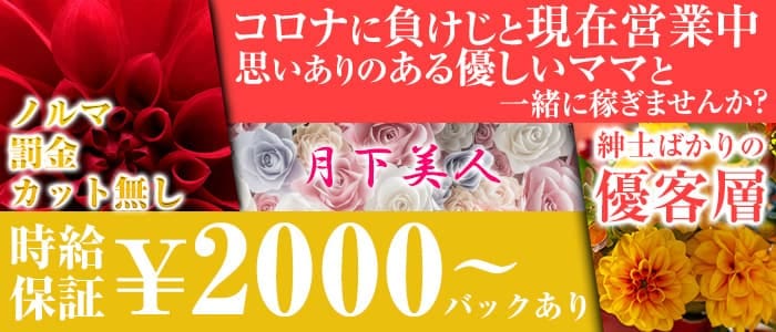 月下美人 げっかびじん 公式求人 体入情報 堺東 スナック 公式求人 スナックバイトなら 体入ショコラ