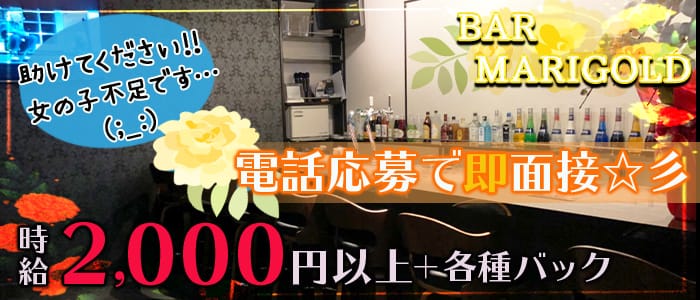 Bar Marigold マリーゴールド 公式求人 体入情報 草津 ガールズバー 公式求人 ガールズバーバイトなら 体入ショコラ