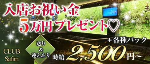 Club Safari (サファリ)【公式求人情報】(和歌山ラウンジ)の求人・体験入店情報