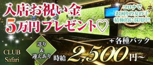 Club Safari (サファリ)【公式求人情報】(和歌山ラウンジ)の求人・体験入店情報