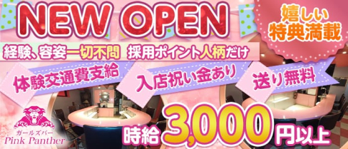 Pink Panther(ピンクパンサー)【公式求人情報】(桜木町ガールズバー)の求人・体験入店情報