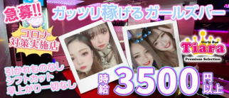 Tiara Premium Selection(ティアラ プレミアムセレクション)【公式求人情報】(錦糸町ガールズバー)の求人・体験入店情報