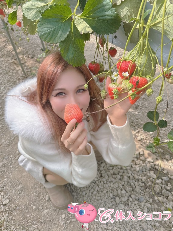 夜遊びショコラ選手権 安良波 レオの投稿