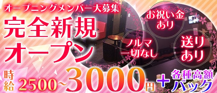 Girl's bar M's (エムズ)の求人情報