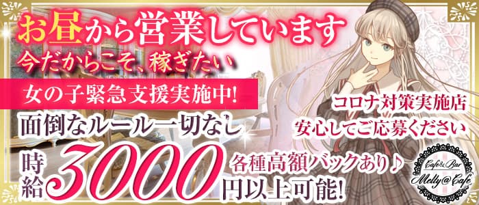 Girl's bar Lovely TOY(ラブリートイ)の求人情報