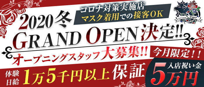 Girl's Bar Rady(レディ)の求人情報