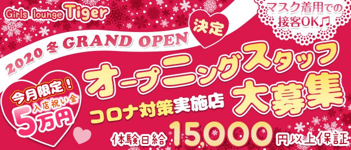Girl's Bar Rady(レディ)の求人情報